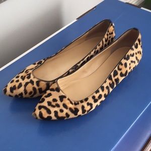 Ivanka Trump, leather flats, leopard print.